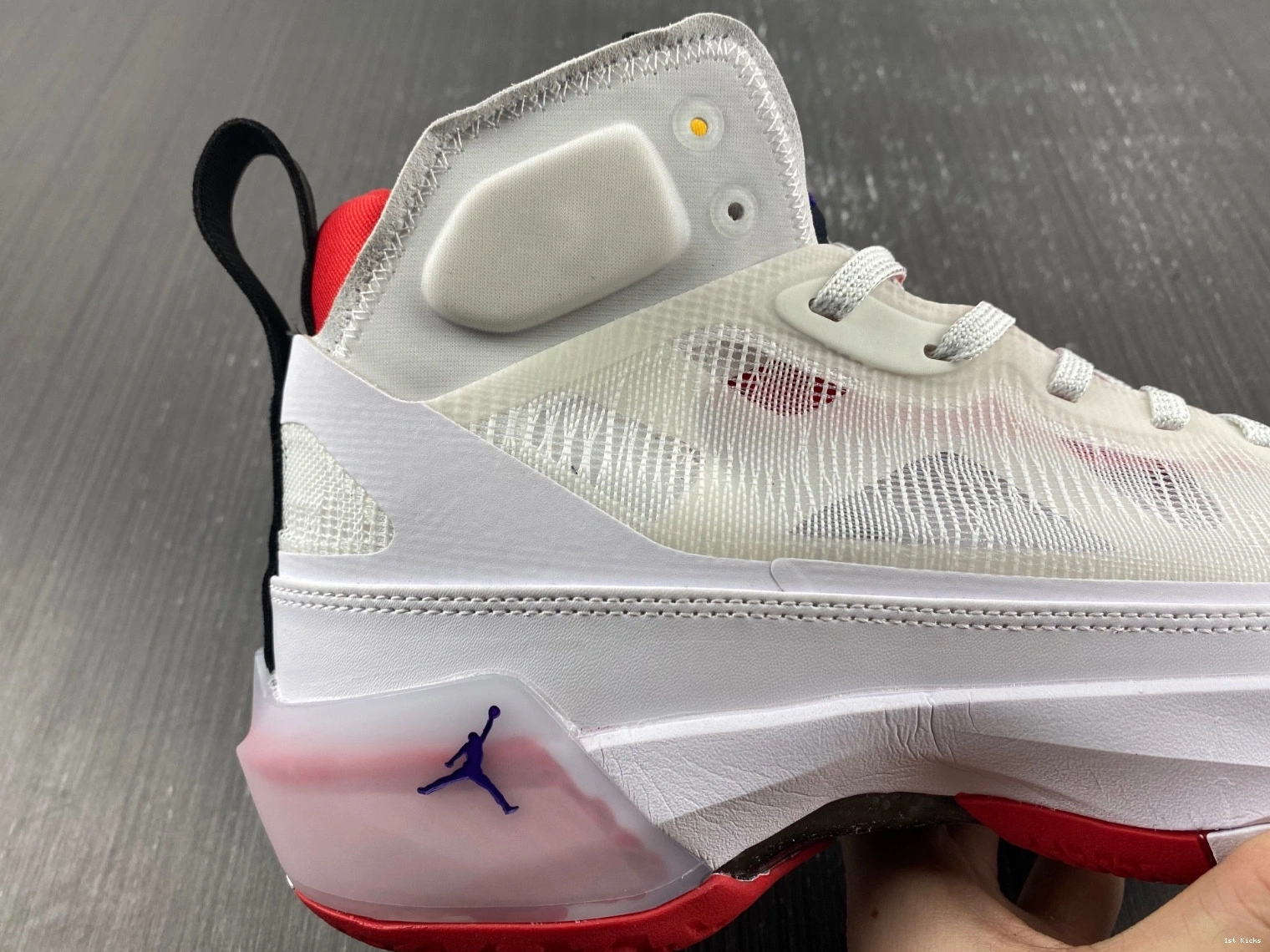 Hare DD6958-160 Jordan 37 0415